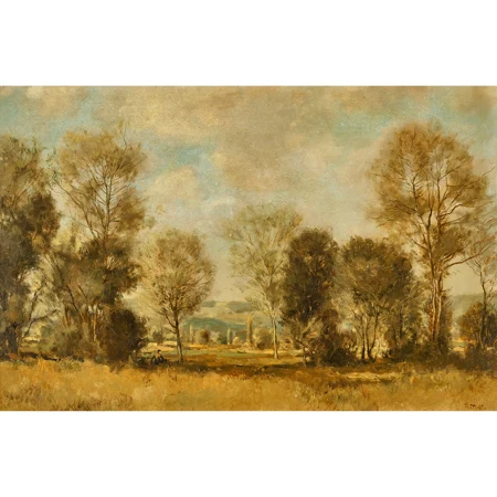 Landschaft mit Wiese und Bäumen