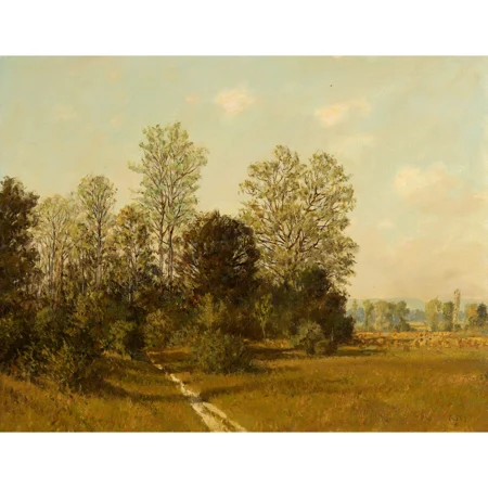 Sonniger Wiesenweg