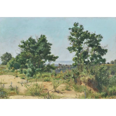 "Blick auf Rheinau"