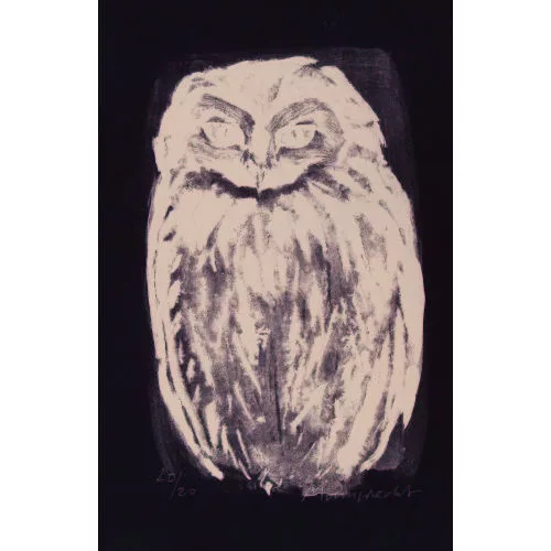 Rudolf Mumprecht — Petit hibou.