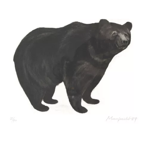 Rudolf Mumprecht — Ours.