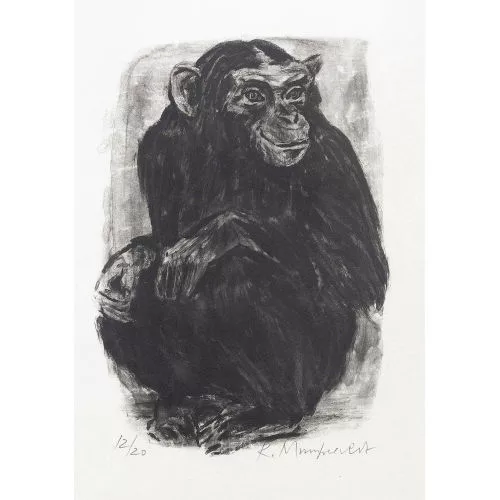 Rudolf Mumprecht — Schimpanse.