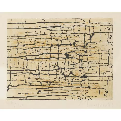 "Lignes"