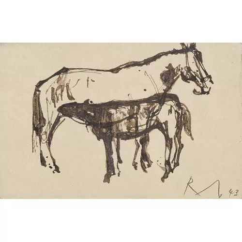 Pferd und Fohlen