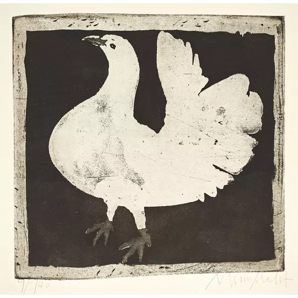 "Colombe blanche"