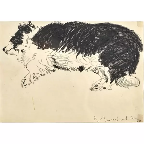 Liegender Hund