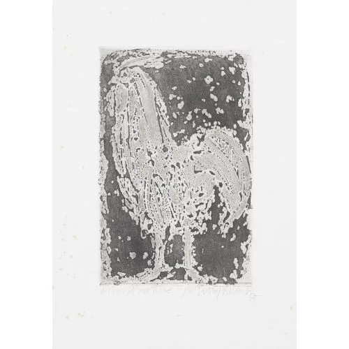 Rudolf Mumprecht — Coq.