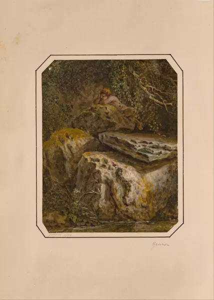 Faun in der Wildnis
