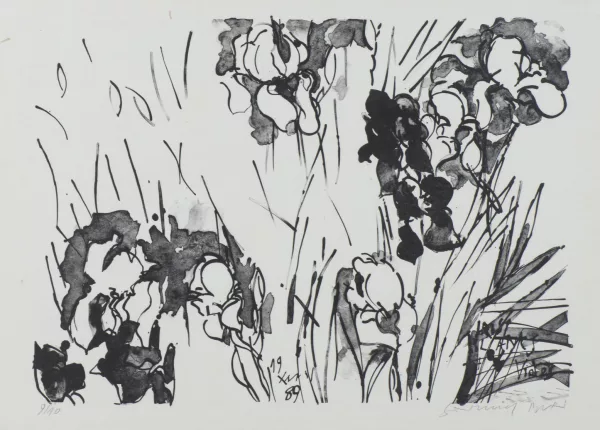 Samuel Buri — Iris blancs et violets