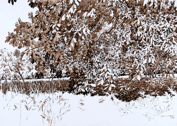 Samuel Buri — Blätterwerk, 1975