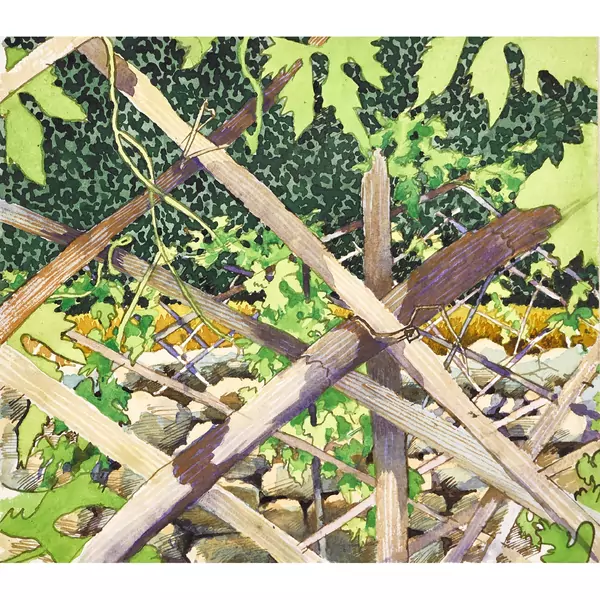 Blick durch den Gartenzaun