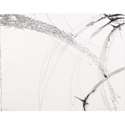 Schang Hutter — Ohne Titel.
