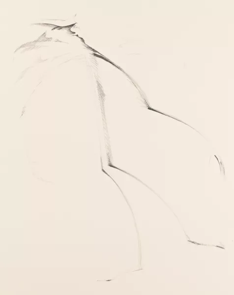 Schang Hutter — Mappe. Il ballo di senza
