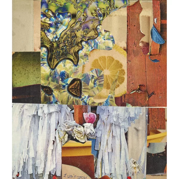 Serge Brignoni — Ohne Titel.