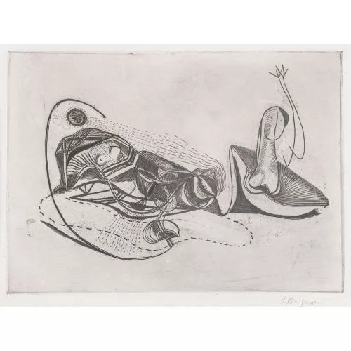 Serge Brignoni — "Venus anatomique".