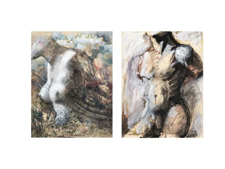 Torses féminins et masculins