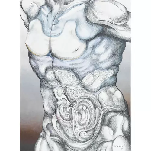 Torso