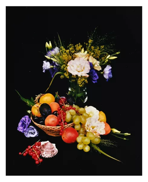 Shirana Shahbazi — Diptychon. [Verlauf-05-2006], 2006; [Stillleben-12-2006], 2006