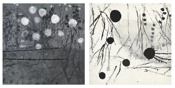 Silvana Solivella — Sans titre