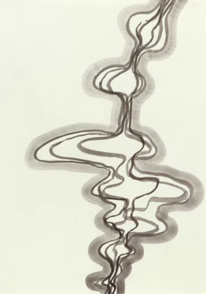 Silvia Bächli — Ohne Titel