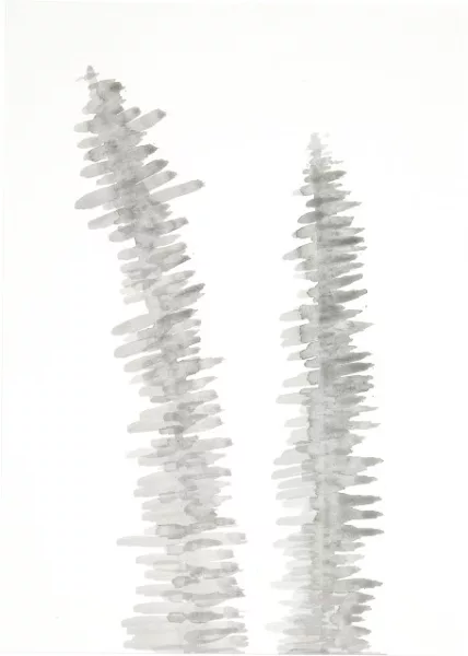 Silvia Bächli — Ohne Titel