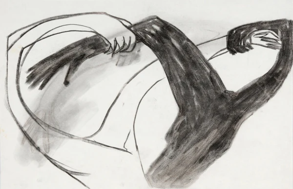 Silvia Bächli — Ohne Titel, 1984