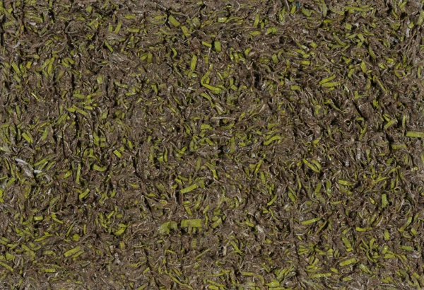 Stefan Gritsch — 3 Werke: Ohne Titel