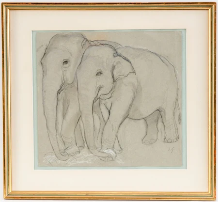 Éléphants