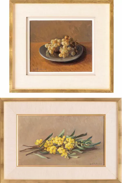 Steven-Paul Robert — "Nature morte aux raisins" & "Nature morte aux mimosas"