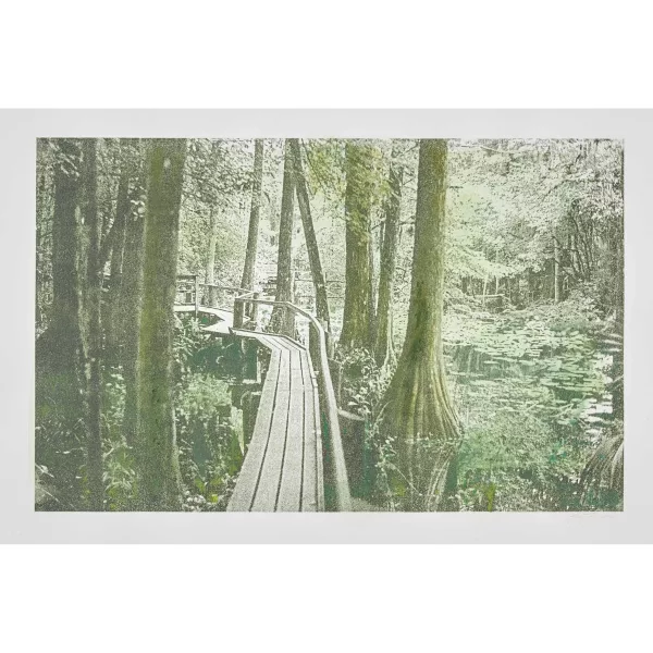 Sue Irion — "Wald".