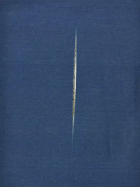 Sylvie Fleury (1961) — Genève Enchères