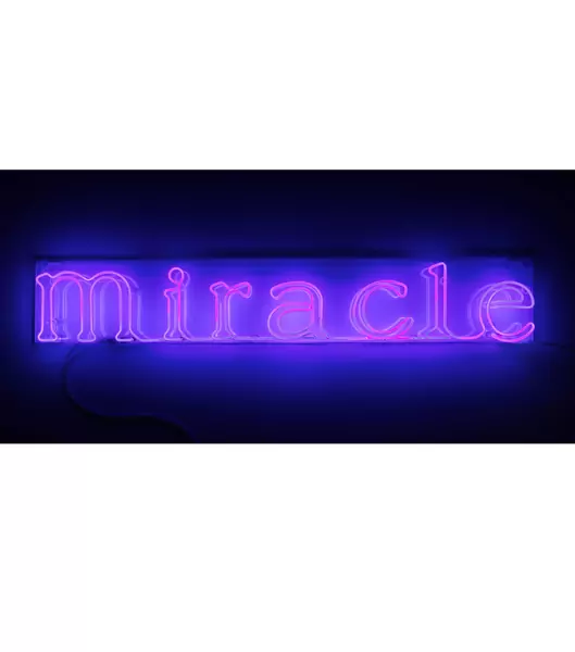 Sylvie Fleury — Miracle — Galerie Kornfeld