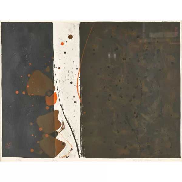 Teruko Yokoi — "Visie".