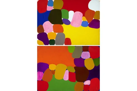 Cellules Multicolores