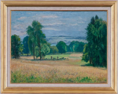 Campagne genevoise et vue sur le Salève