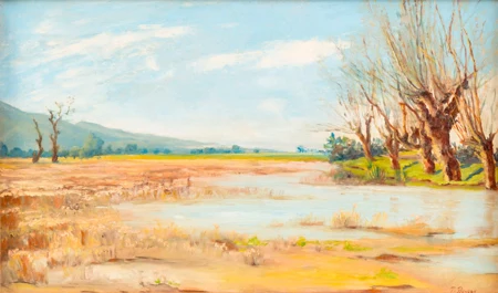 Paysage de campagne