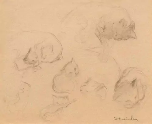 THÉOPHILE ALEXANDRE STEINLEN — Katzenstudie. — Koller Auktionen