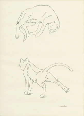 Chats