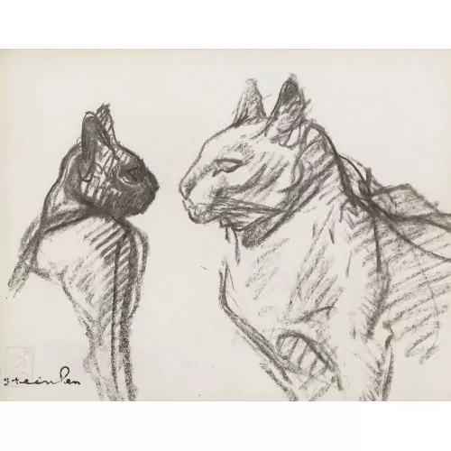 Zwei Katzen