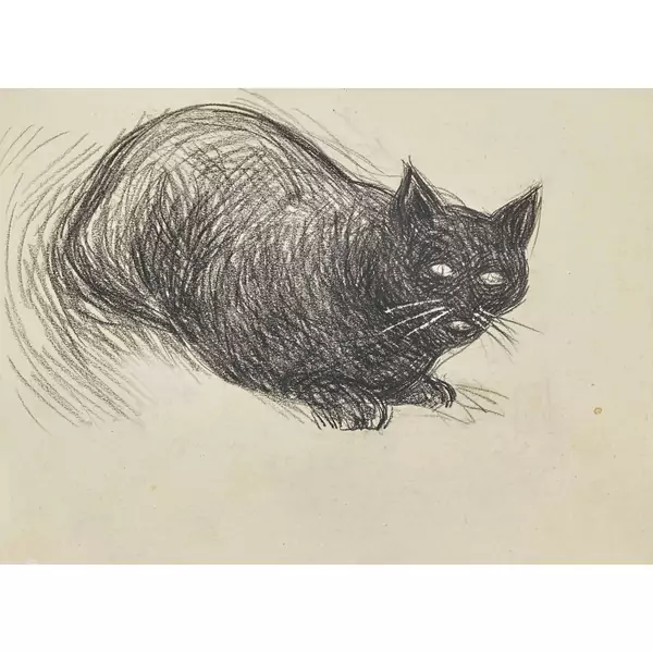 Katze