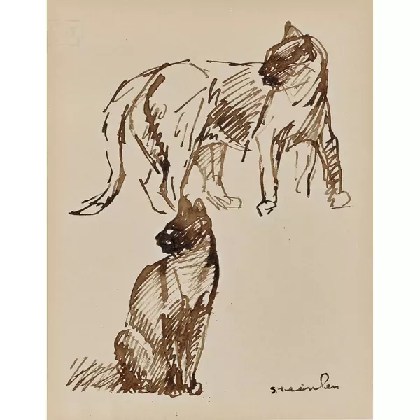 Deux chats