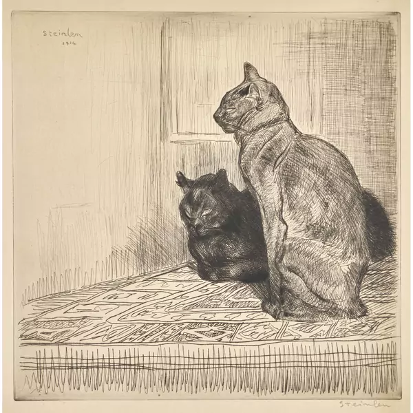Deux chats