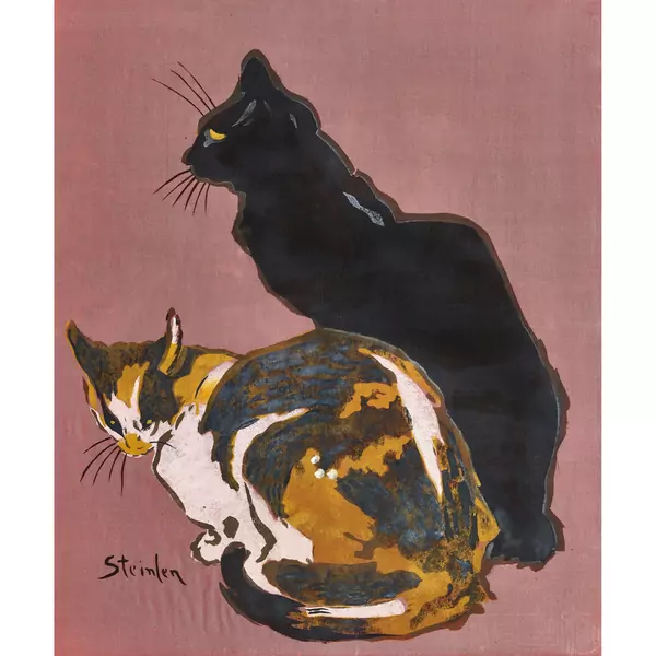 Deux chats