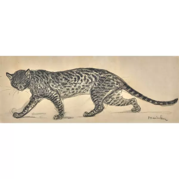 Wildkatze