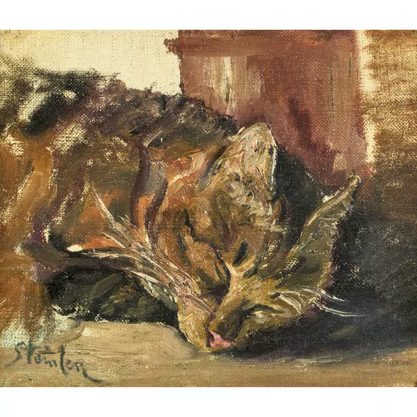 Schlafende Katze