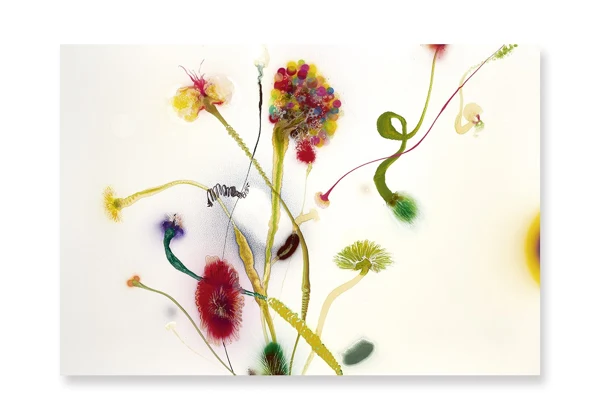 Thierry Feuz — Psychotropical maximum radiance 2, 2004