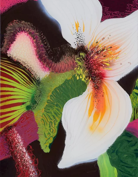 Thierry Feuz — Calypso, 2006