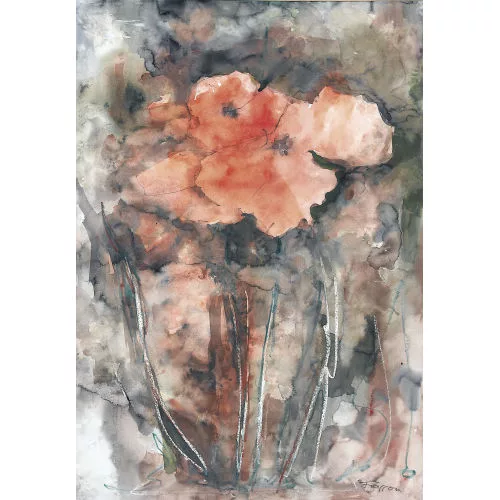 Tonio Frasson — Mohnblumen.
