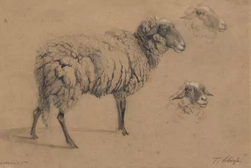 TRAUGOTT SCHIESS — Study of a sheep. 1855. — Koller Auktionen
