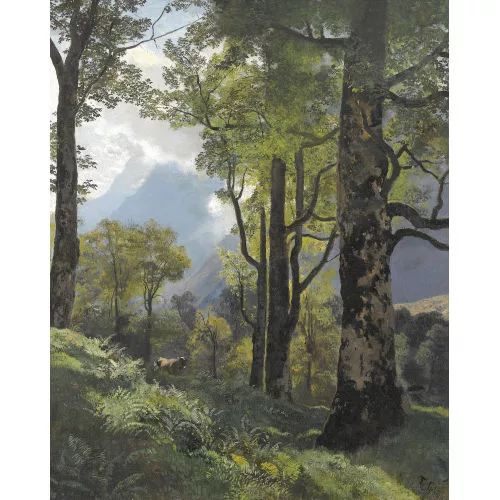 Traugott Schiess — Gebirgspartie mit Wald.